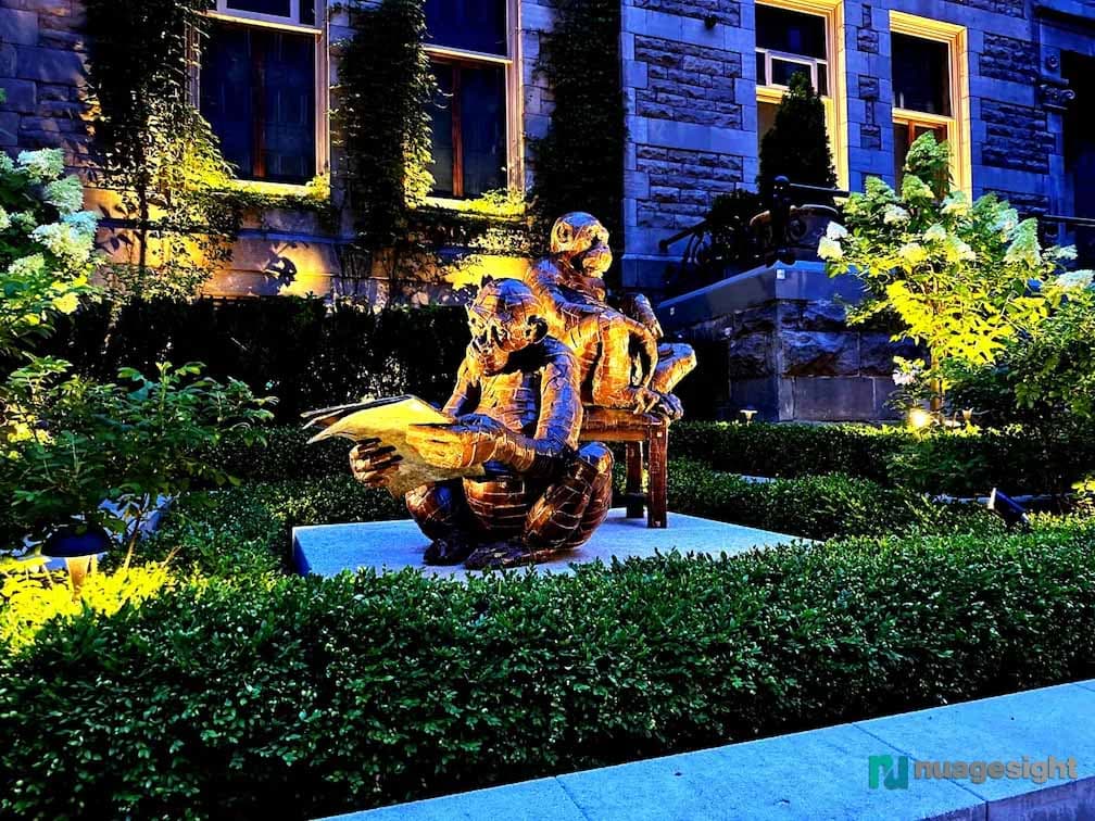 Garden and statue view of lighting at night